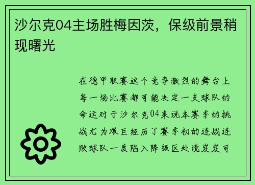 沙尔克04主场胜梅因茨，保级前景稍现曙光